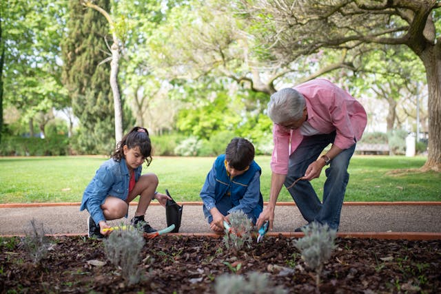 4 Activities for Seniors With Arthritis