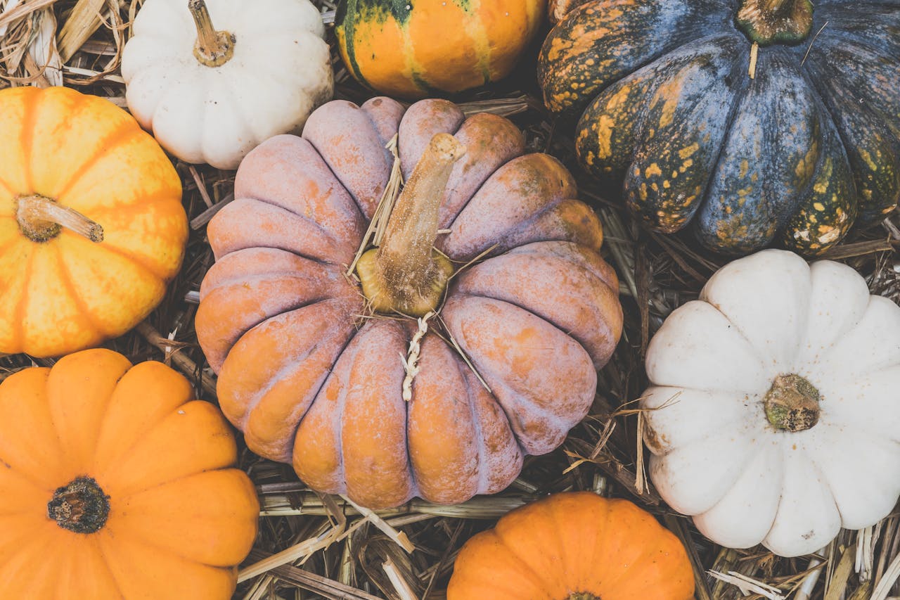 4 Fun Halloween Activities for Senior Citizens