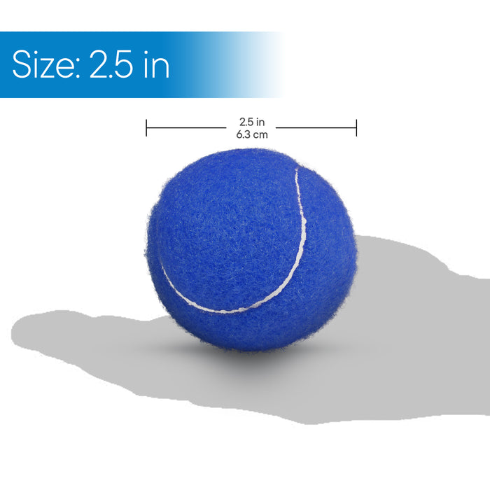 RMS - Blue Walker Glide Balls (4 pack)