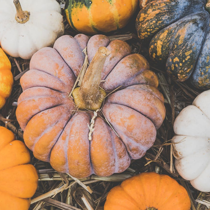 4 Fun Halloween Activities for Senior Citizens