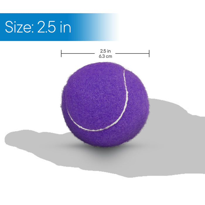 Purple Walker Glide Balls (4 pack)